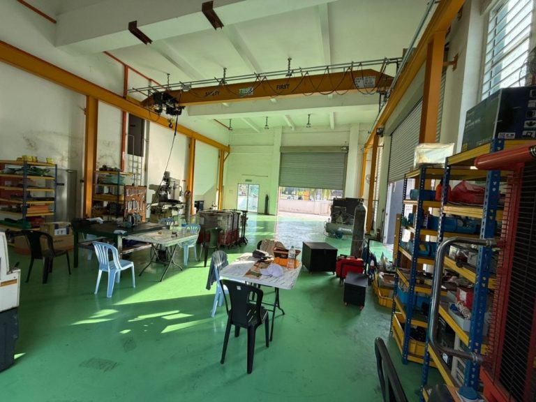 WhatsApp Image 2024-11-14 at 11.29.09