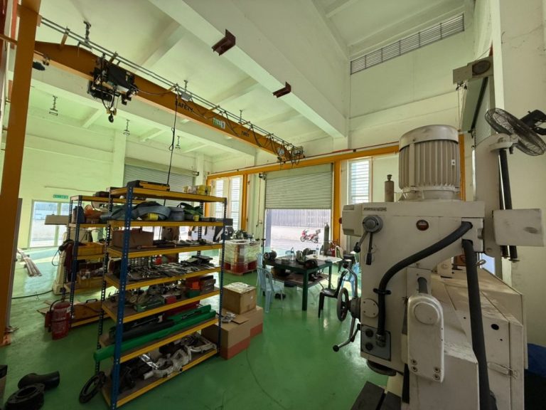 WhatsApp Image 2024-11-14 at 11.29.10