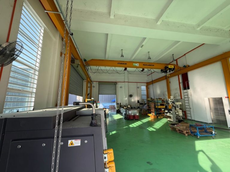 WhatsApp Image 2024-11-14 at 11.29.11